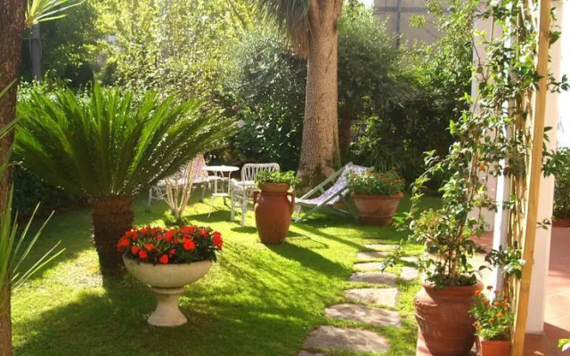 Tre Civette Sul Comò