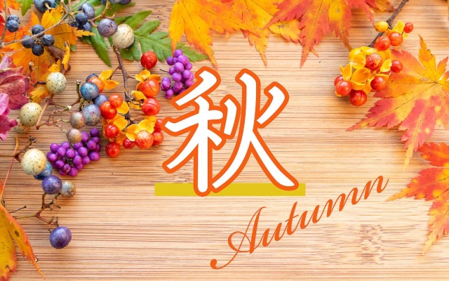 Stay SAKURA Kyoto Nijo Season – Sports – Kyoto