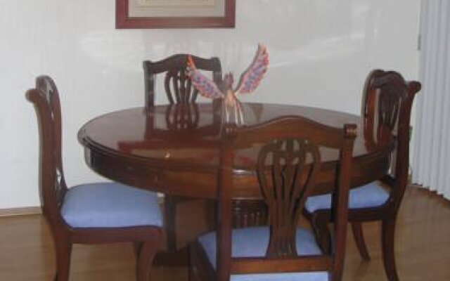 Steinhaus Homero