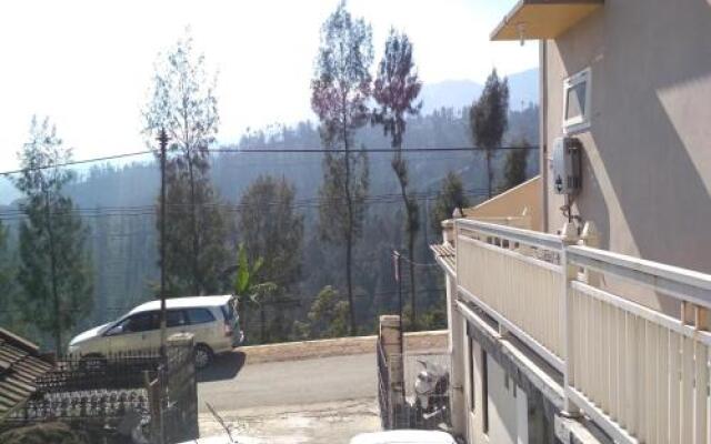 Saputra View Bromo Homestay