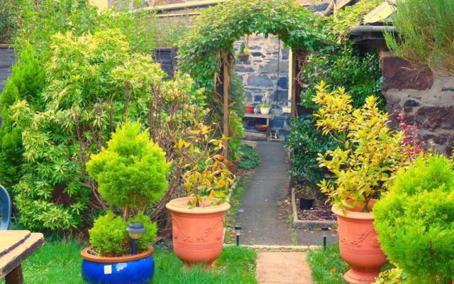 Arbour Guest House