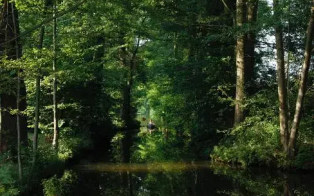 Ferienwohnungen direkt am Wasser