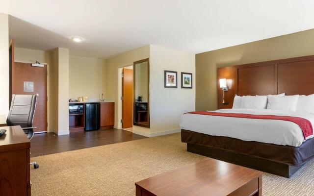Comfort Inn & Suites Macon West