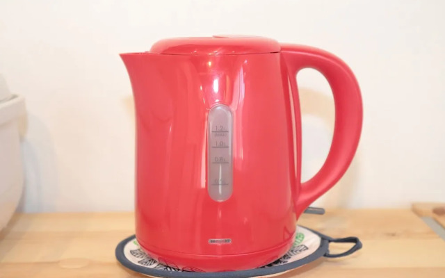 Vivid Zebra House - 197-1