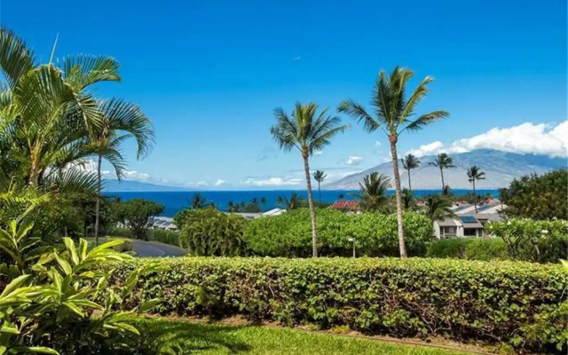 Maui Kamaole J-116 - 1 Br Condo