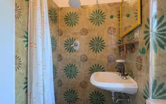 Conte Francesco I 231S