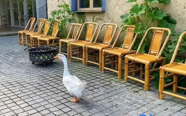 Xishan Shendu Hostel