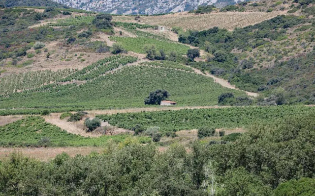 Gîte les Hirondelles