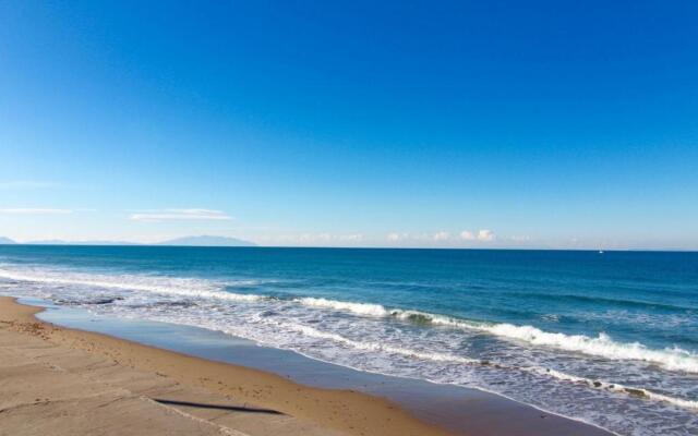 Rif. B12 - DELFINO 2