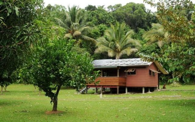 Daintree Rainforest Bungalows