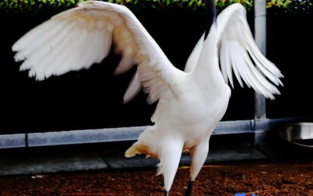 Tiantai Hot Spring Resort