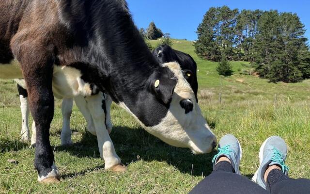 Pukeatua Farmstay