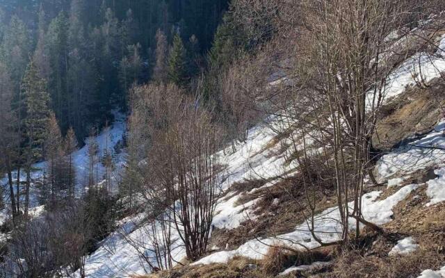 Appartement Pra-Loup, 1 pièce, 4 personnes - FR-1-165A-14