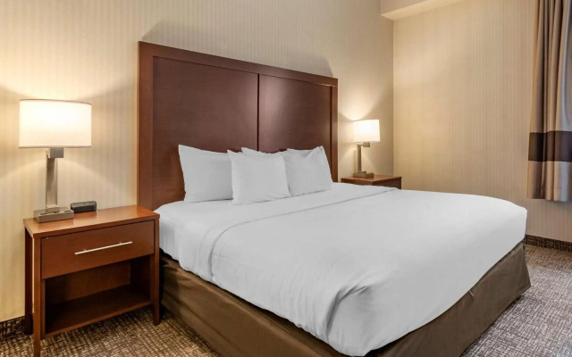 Comfort Suites Downtown Carlisle