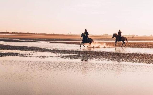 Appartement Merville-Franceville-Plage, 2 pièces, 4 personnes - FR-1-465-62