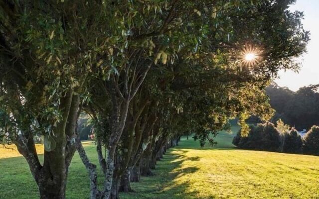 Tailwaggers Rainforest Retreat