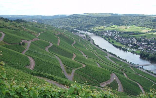 Vineyard View Romantic Stay