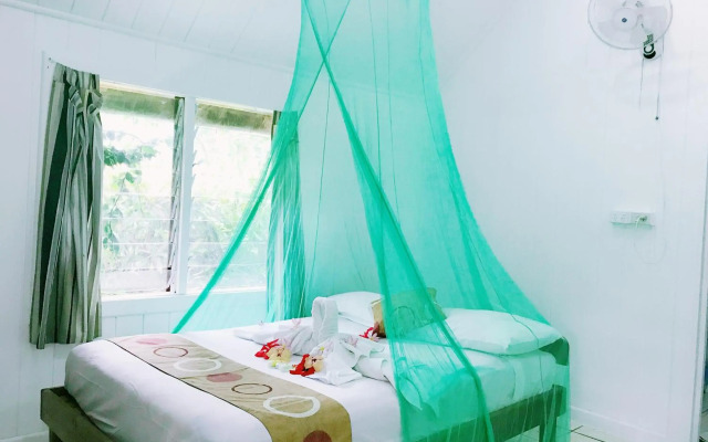 Tanna Evergreen Resort & Tours
