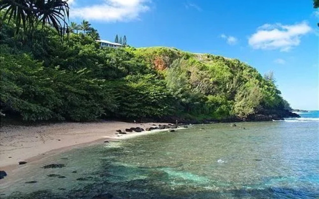 Kamahana 18 by RedAwning