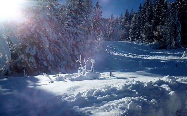 Private Chalet with Sauna in Afritz Am See Carinthia