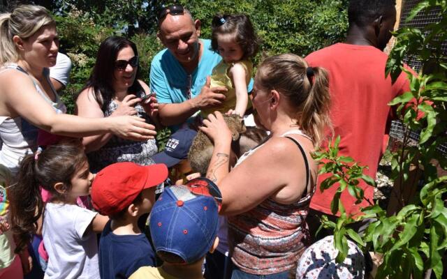fattoria country village