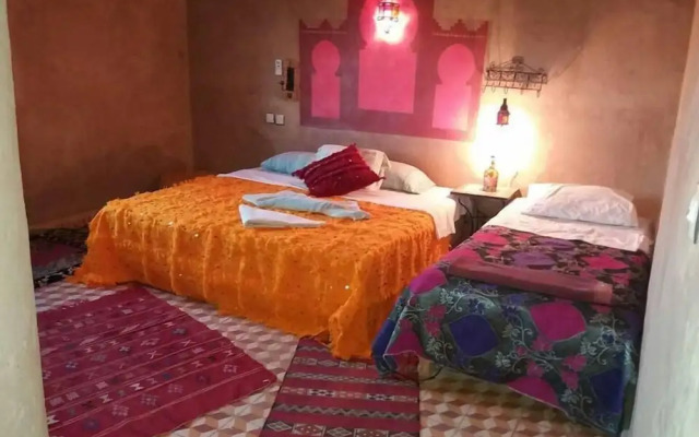 Riad Desert Camel