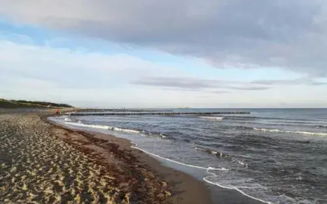 Eikkater 28 Kuestenwald Graal Muer