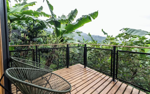 Hotel La Palma y El Tucan - Coffee & Nature