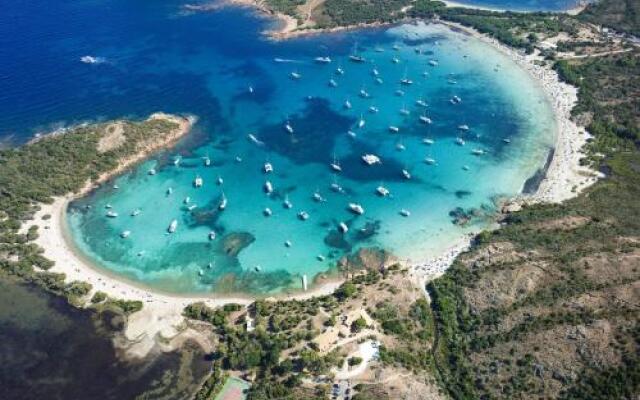 U Cantu di I Cardellini