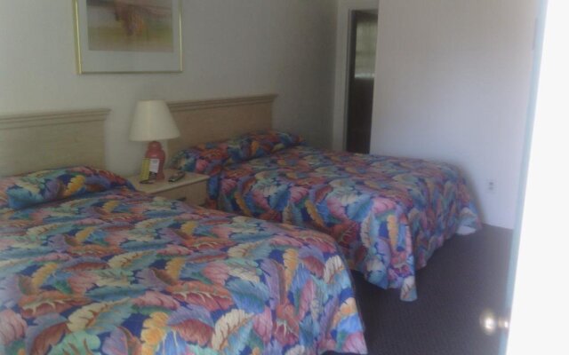 The Beach House