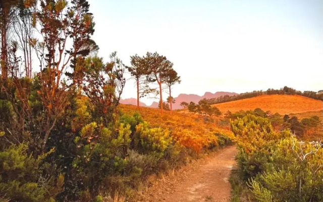 Vrede Self Catering