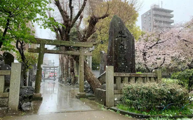 KIKO HOUSE - Vacation STAY 42445v