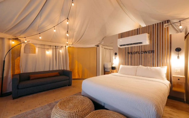 Zion Wildflower, BW Premier Collection