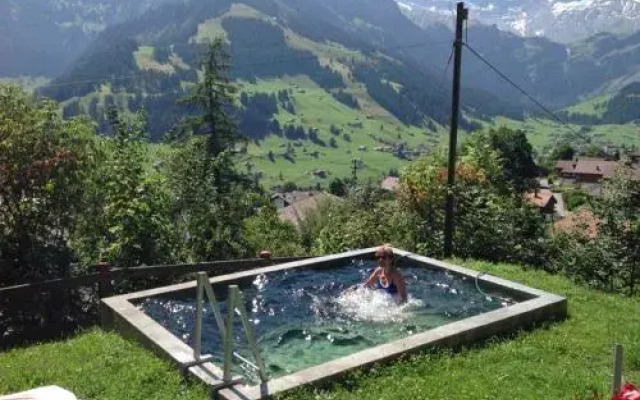 Chalet Sonnenheim