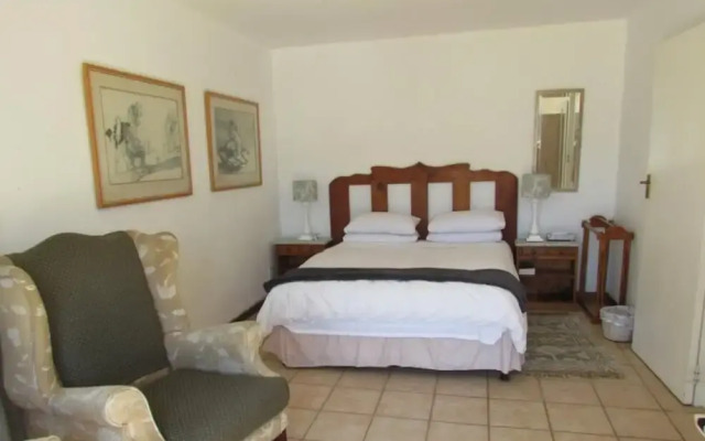 Watching Waves Heron Chase