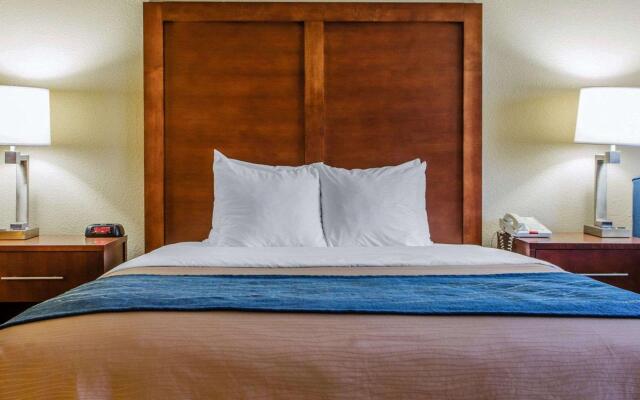 Comfort Inn & Suites Jackson - West Bend