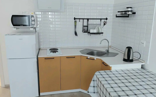 Апартаменты на улице Евгения Савкова 46/2