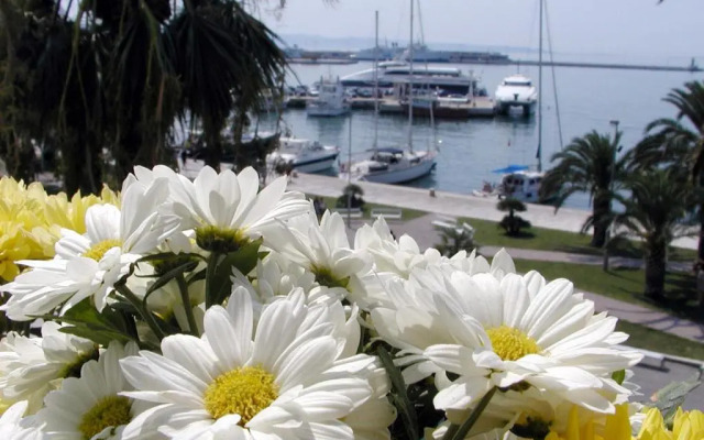Apartman Tonka Riva-Split