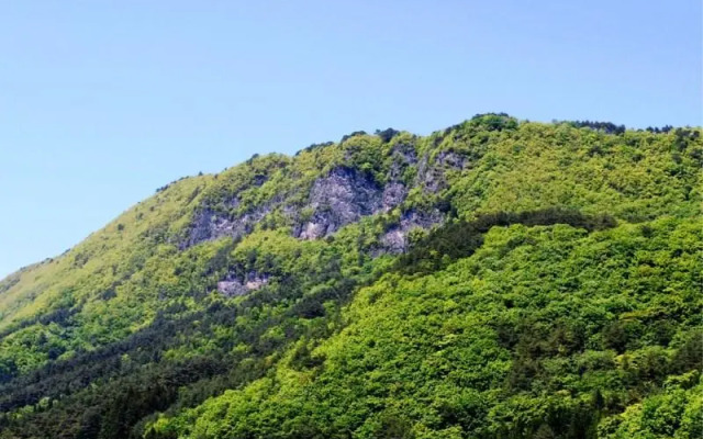 Hotel Ryusendo Aizan