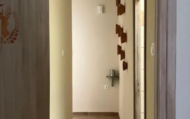 Vintage Apartments 2