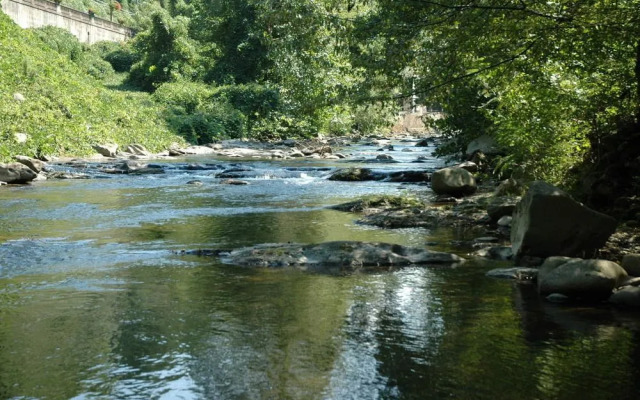 River Dream 466 By Redawning