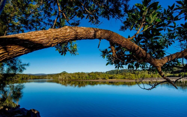 Reflections Ferry Reserve - Holiday Park