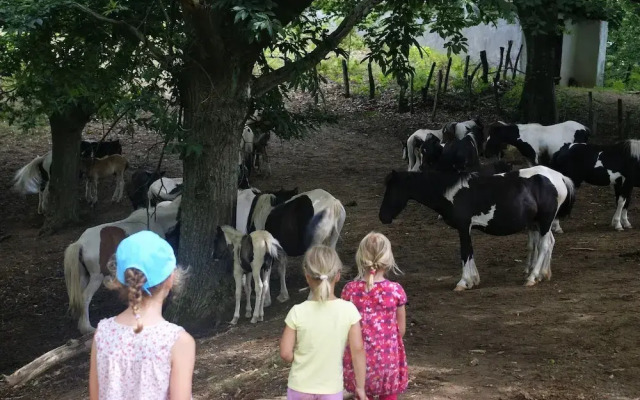 Appartement Artzamendi au BaskoParadis