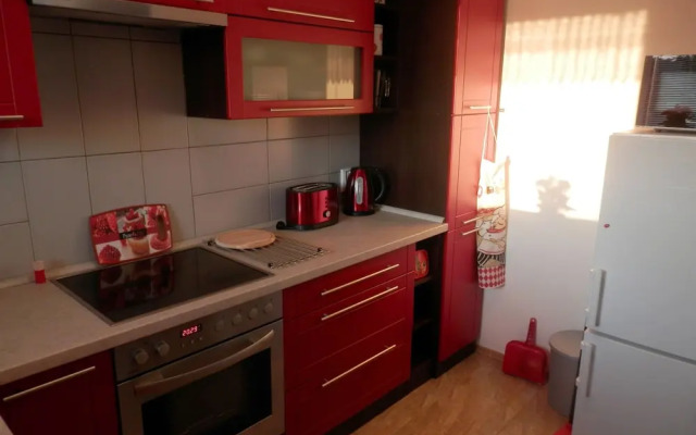Apartment Boroví