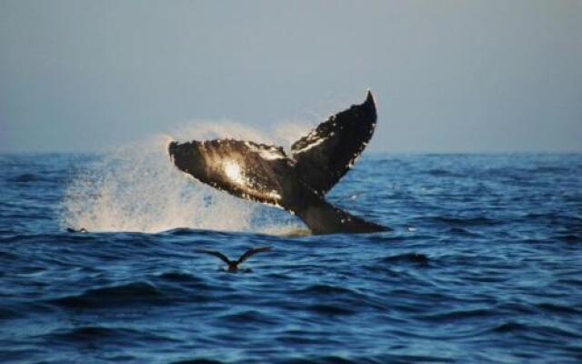 Santa Teresa Surf Vista Villas