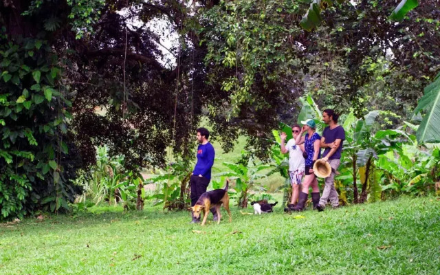 El Caribeo - Nature Lodge