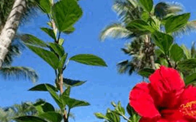 ON THE Caribbean SEA - Crystal Apartment