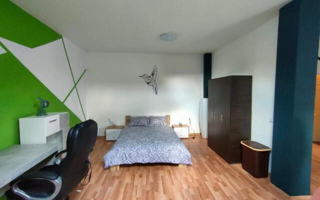 Iosefin House Studio