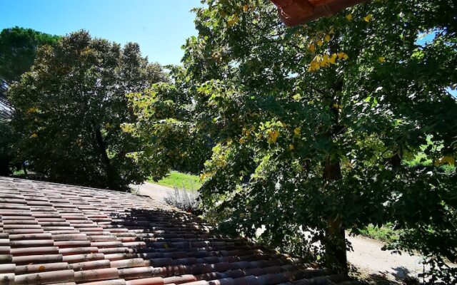 B&B La Casa dei Tigli