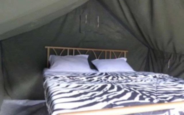 Mogli Camps